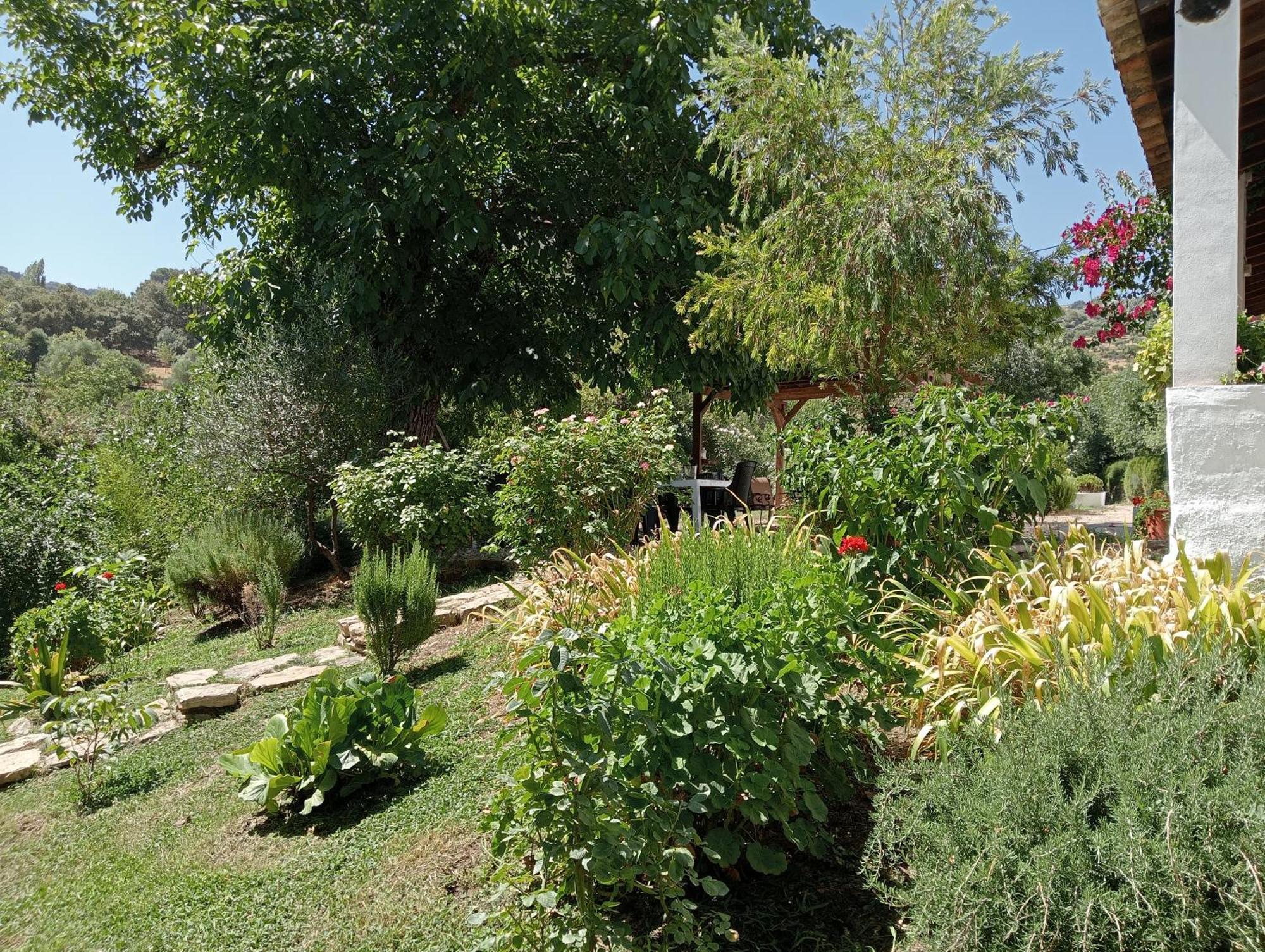 גרסלמה Casa Rural La Maquinilla מראה חיצוני תמונה