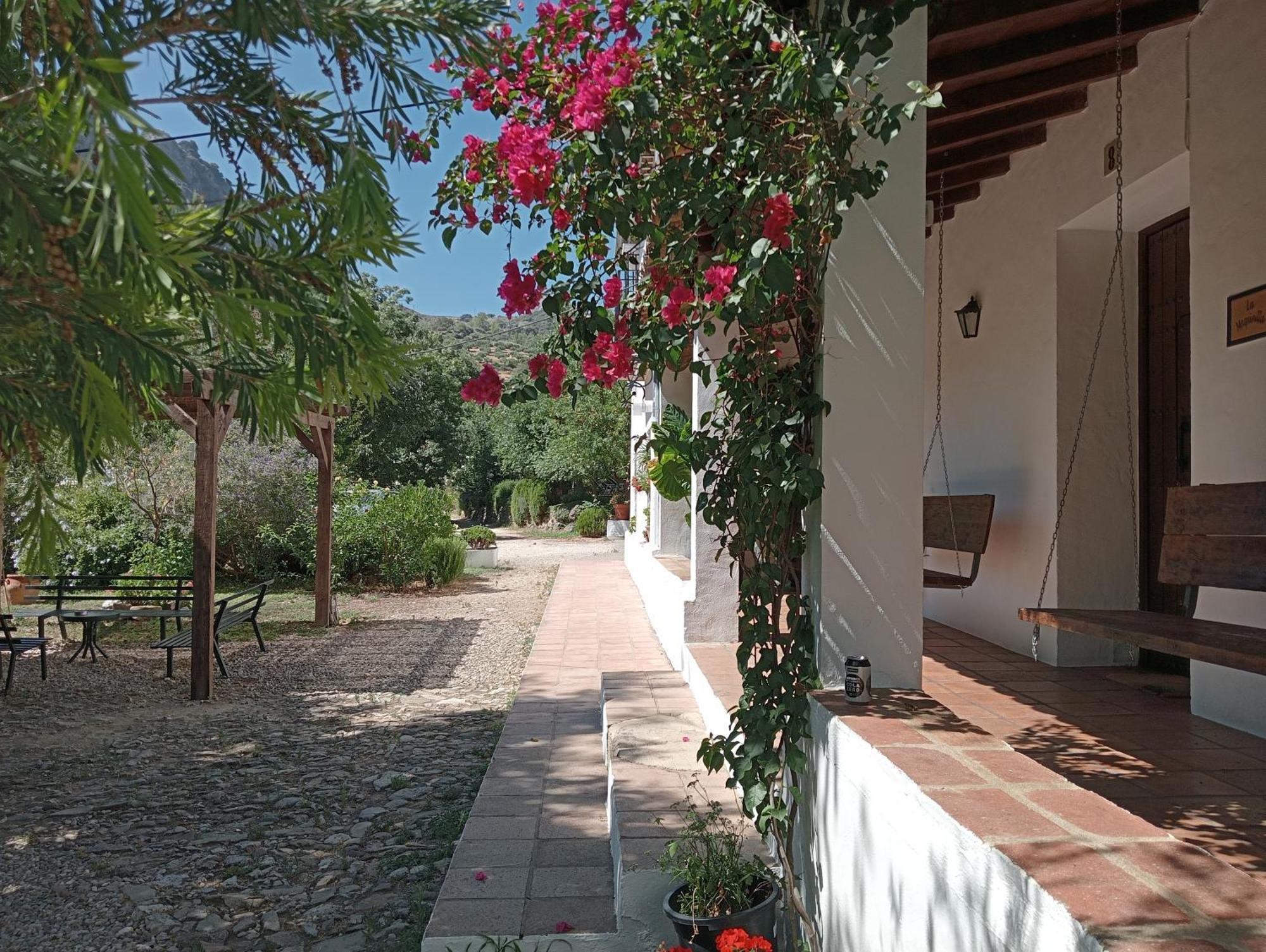 גרסלמה Casa Rural La Maquinilla מראה חיצוני תמונה