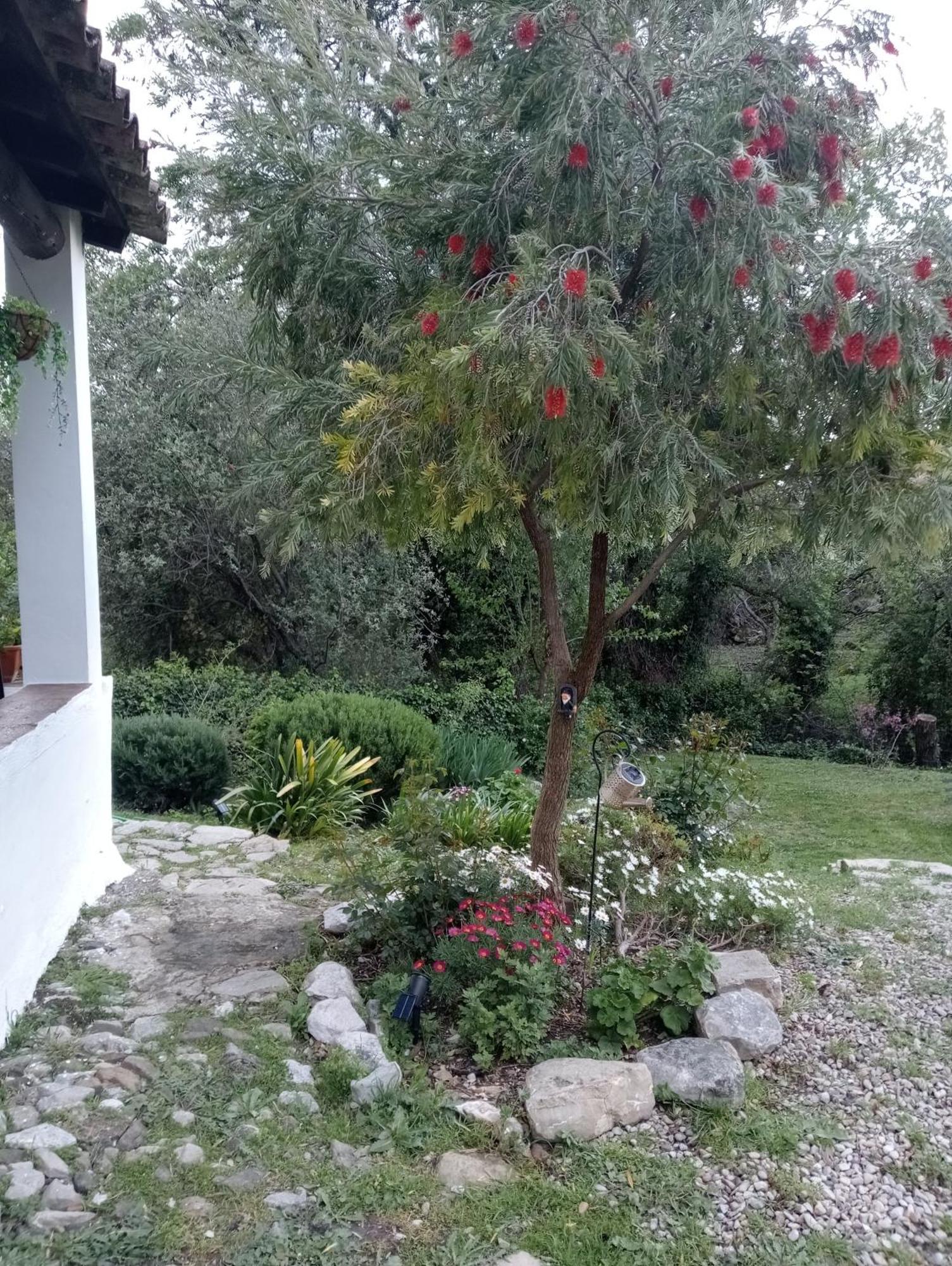 גרסלמה Casa Rural La Maquinilla מראה חיצוני תמונה